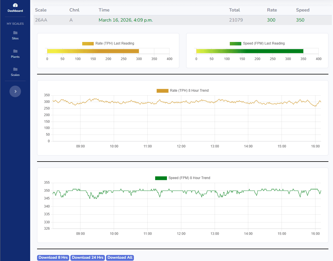 BeltVue scale detail view